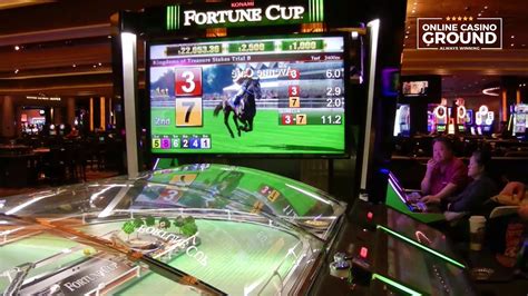  paardenrace spel casino